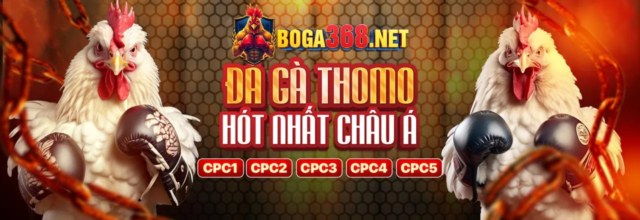 Đá gà trực tuyến Bongso88 link mới 2026 với các trận đấu kịch tính và khuyến mãi hấp dẫn.