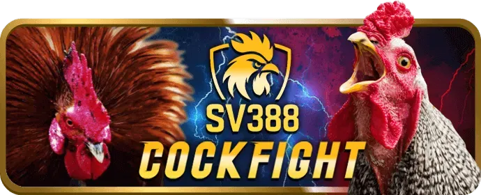 Hoàn trả cược thể thao bongso88 link mới